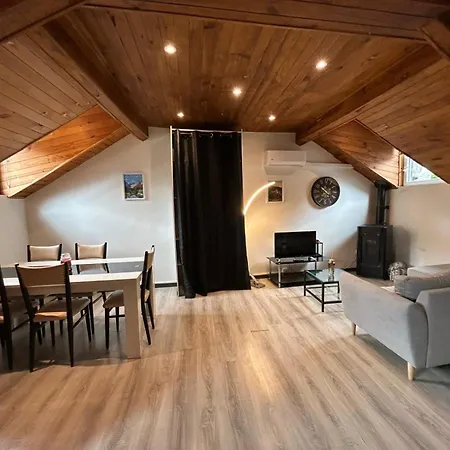 Au Pied Du Chateau T3 公寓 *
